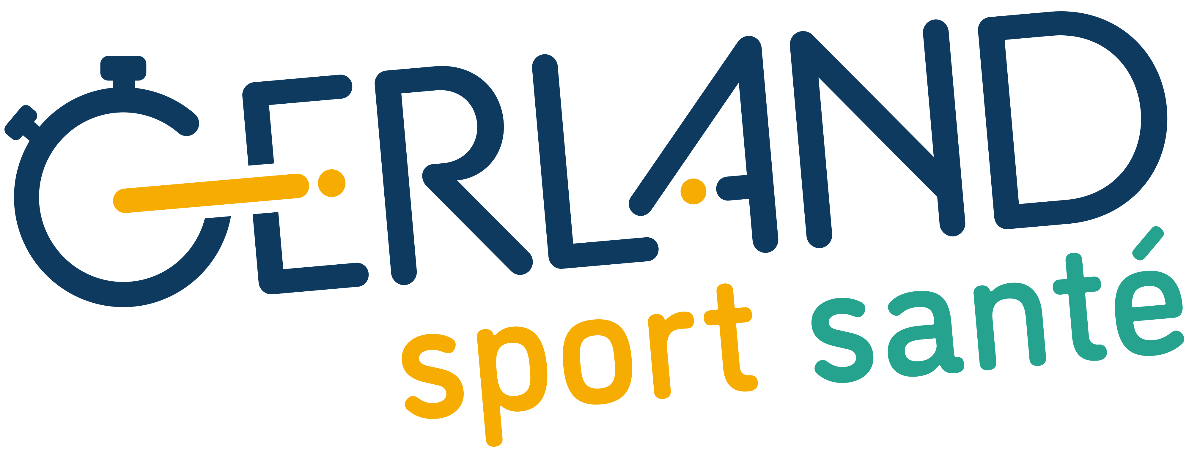 Logo Gerland Sport Santé